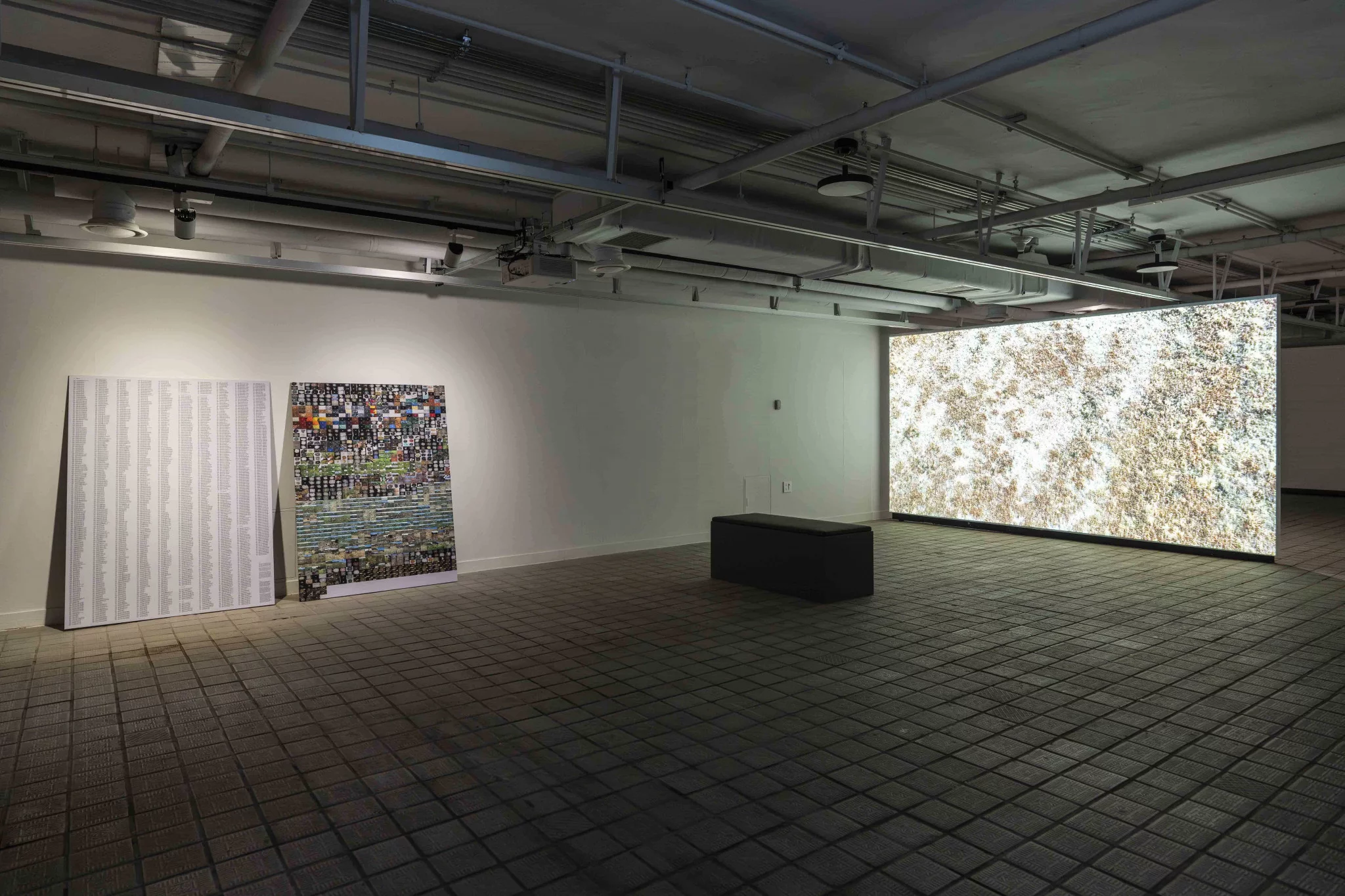〈나는 당신이 보지 못하는 것을 본다〉, 2019 I See What You Don’t See, 2019
