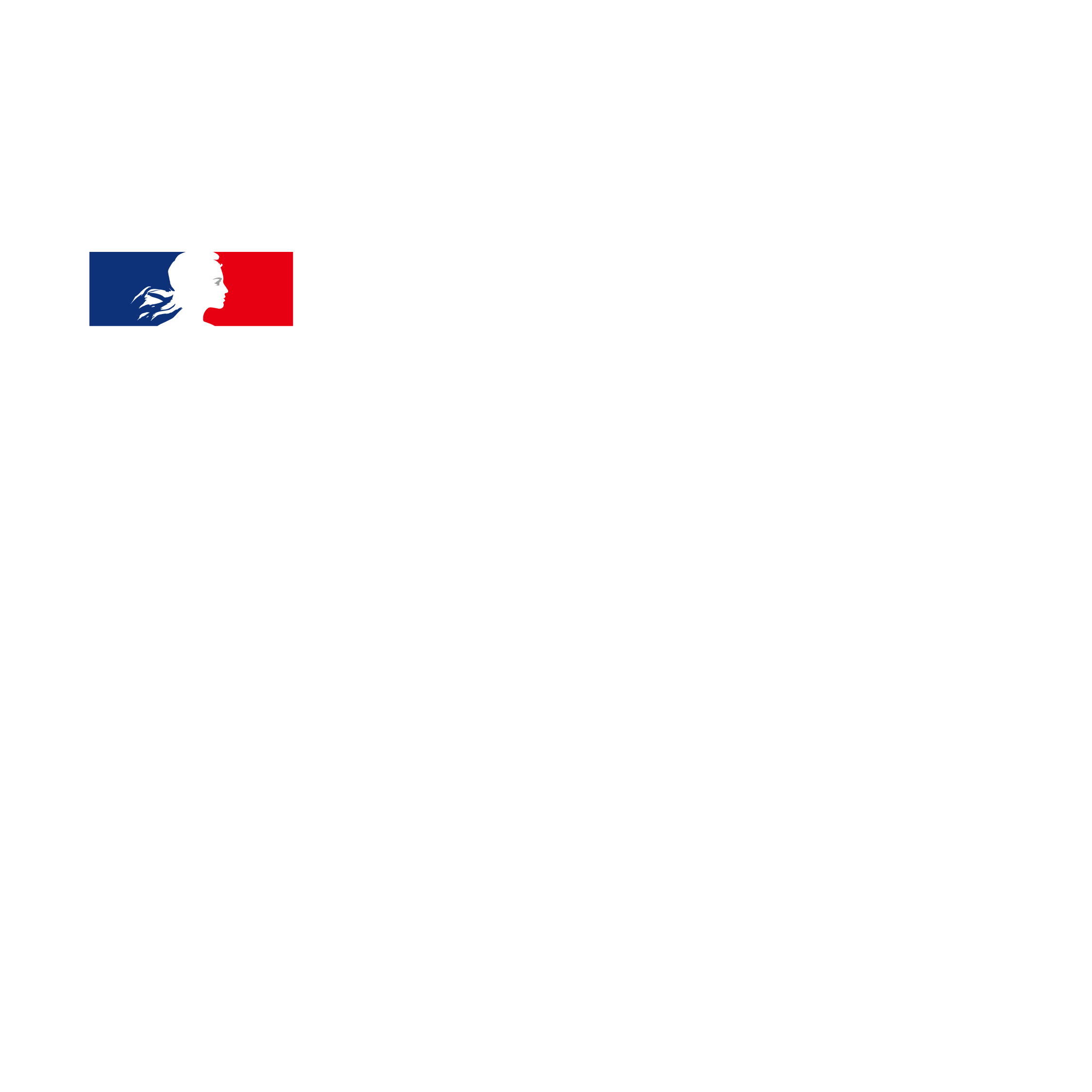 Cultural Service of the Embassy of France in Republic of Korea